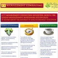 Weboldal tervezés | TT Management Consulting
